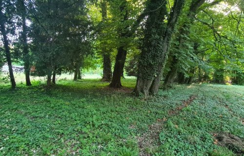 Terrain à 
Dijon